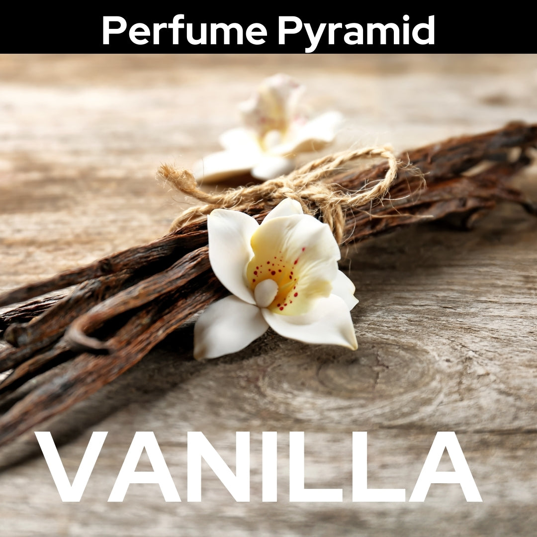 Dark Temptation — Inspired by Seduction & Irresistible Charm